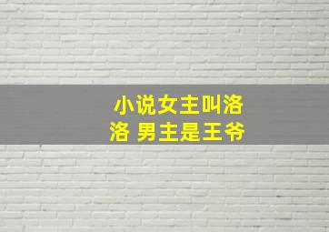 小说女主叫洛洛 男主是王爷